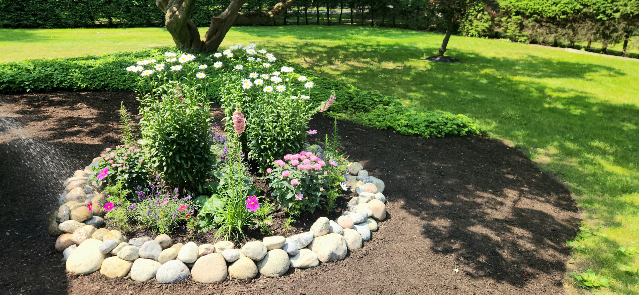 Professional perennial planting service with fresh mulch and cobblestone edging in a colorful landscape bed in Utica, NY