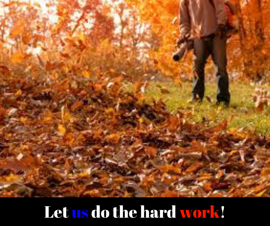 Fall leaf cleanup in Utica NY - Turf Pro Outdoor Service crew member blowing and piling autumn leaves
